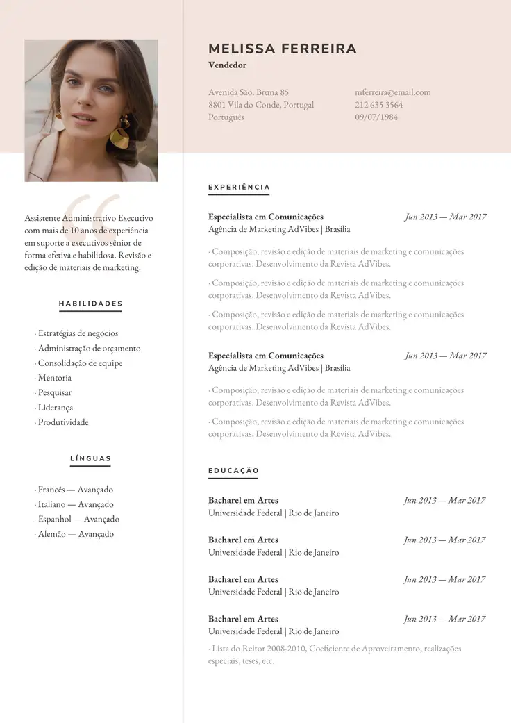 CV template Viena