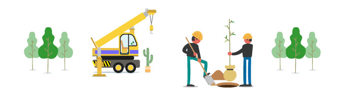 Trabalho voluntário currículo